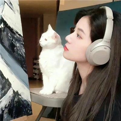 花落花开
